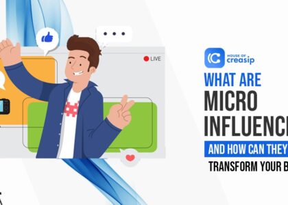 Macro-Influencer